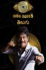 Bigg Boss 5 Telugu